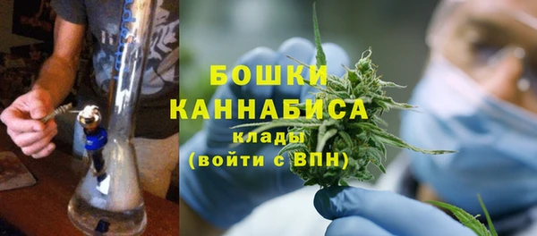 прущие грибы Бронницы