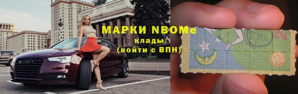 прущие грибы Бронницы