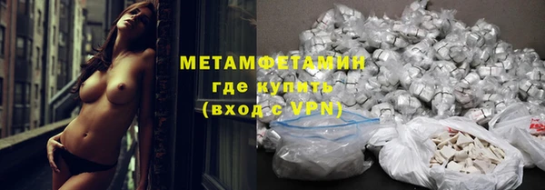 прущие грибы Бронницы