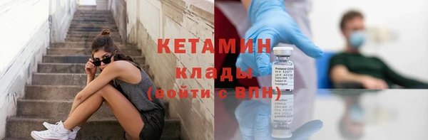 прущие грибы Бронницы