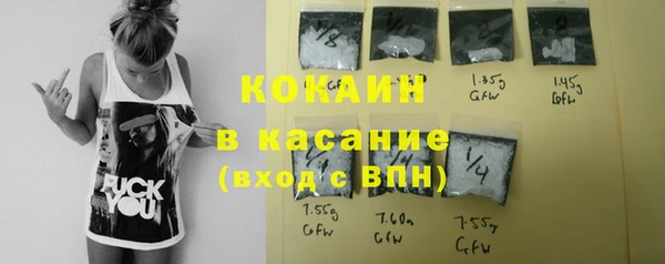 прущие грибы Бронницы