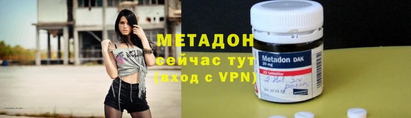 прущие грибы Бронницы