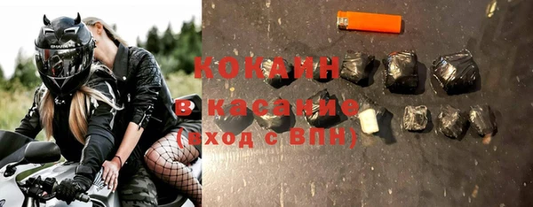 прущие грибы Бронницы