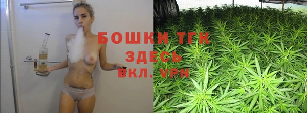прущие грибы Бронницы