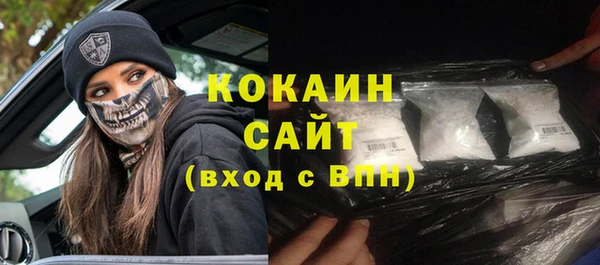 прущие грибы Бронницы