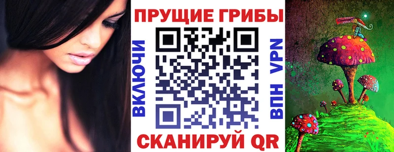 Псилоцибиновые грибы GOLDEN TEACHER  Купить закладки  Слюдянка 